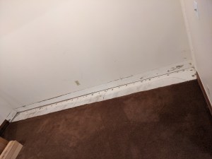 Shelf area cleared out and cleaned up :-)